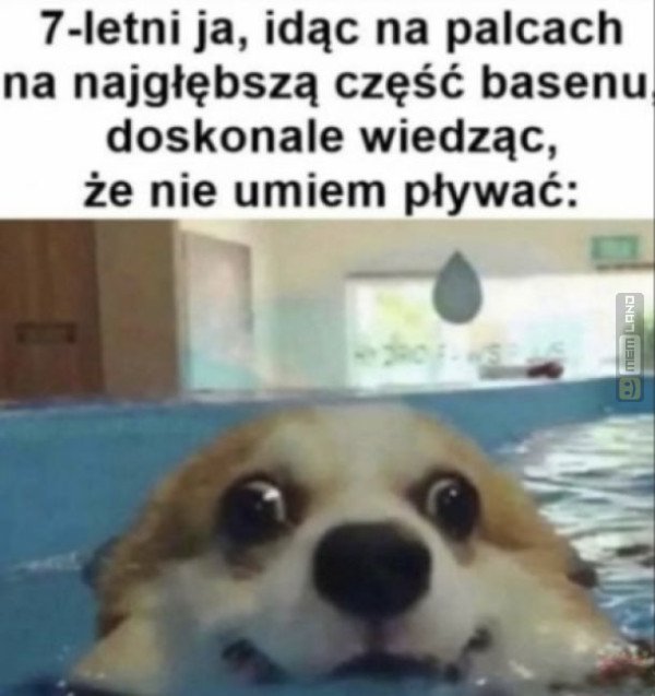 Śmieszny mem: 1168808 - MemLand