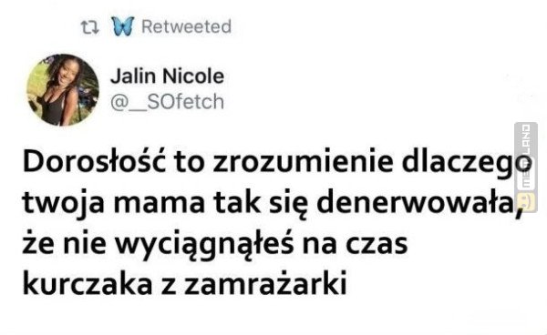 Śmieszny mem: 1171556 - MemLand