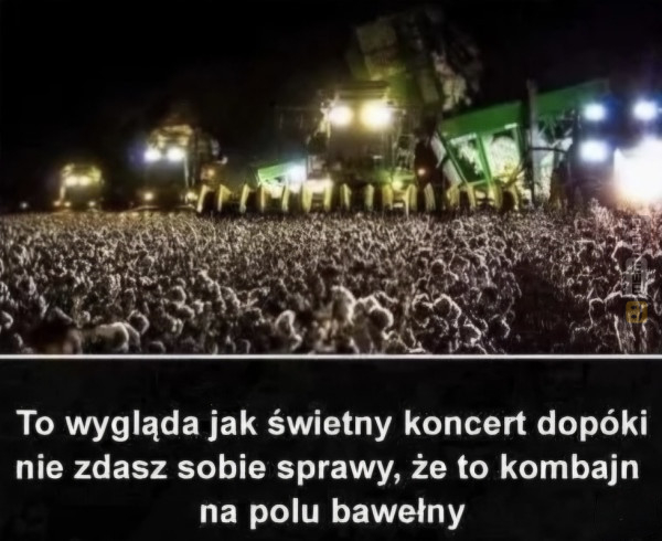 Śmieszny mem: 1178454 - MemLand