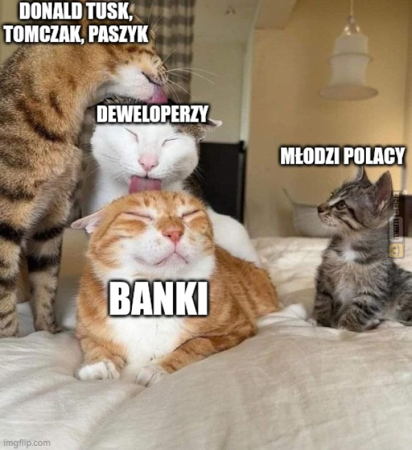 Śmieszny mem: 1180856 - MemLand