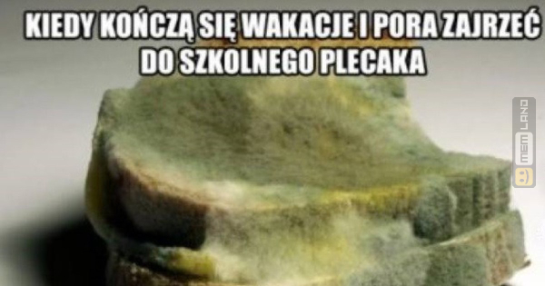 Śmieszny mem: 1182867 - MemLand