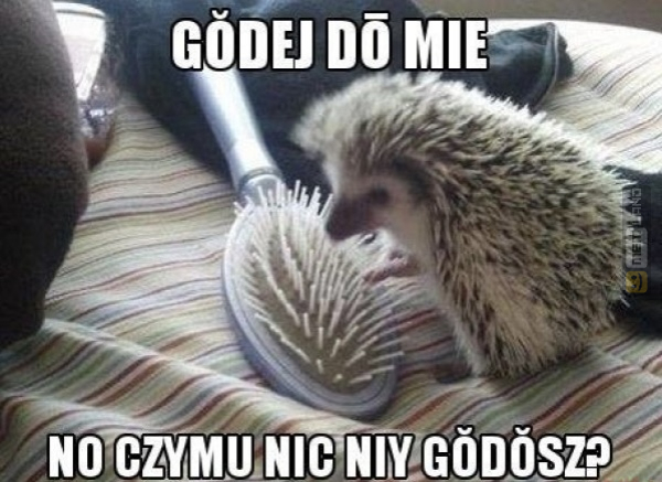 Śmieszny mem: 1193780 - MemLand