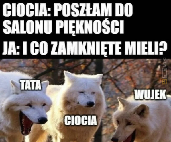 Śmieszny mem: 1197965 - MemLand