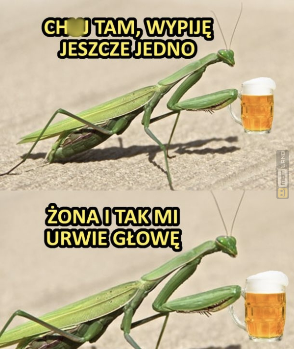 Śmieszny mem: 1205198 - MemLand