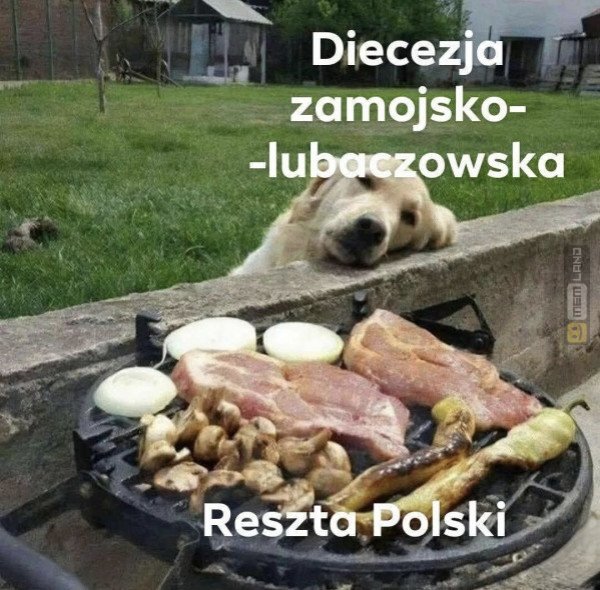 Śmieszny mem: 1210370 - MemLand