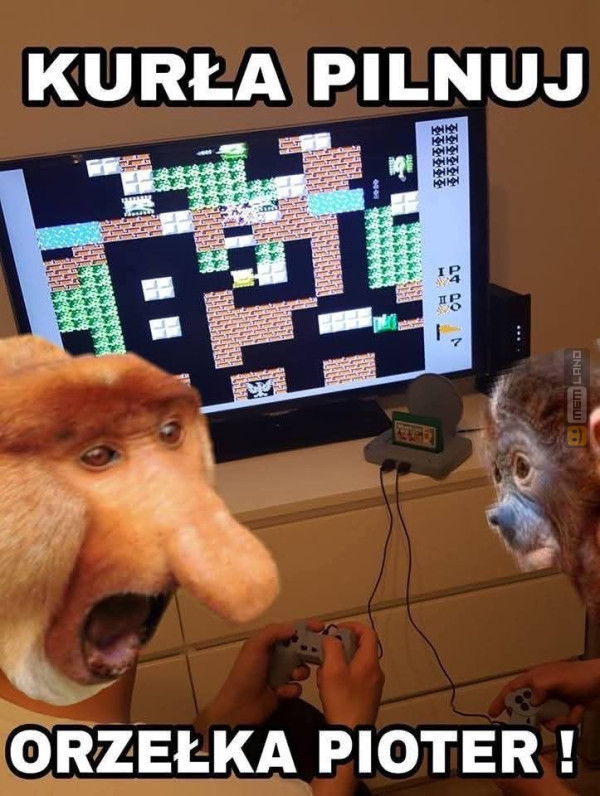 Śmieszny mem: 1217557 - MemLand