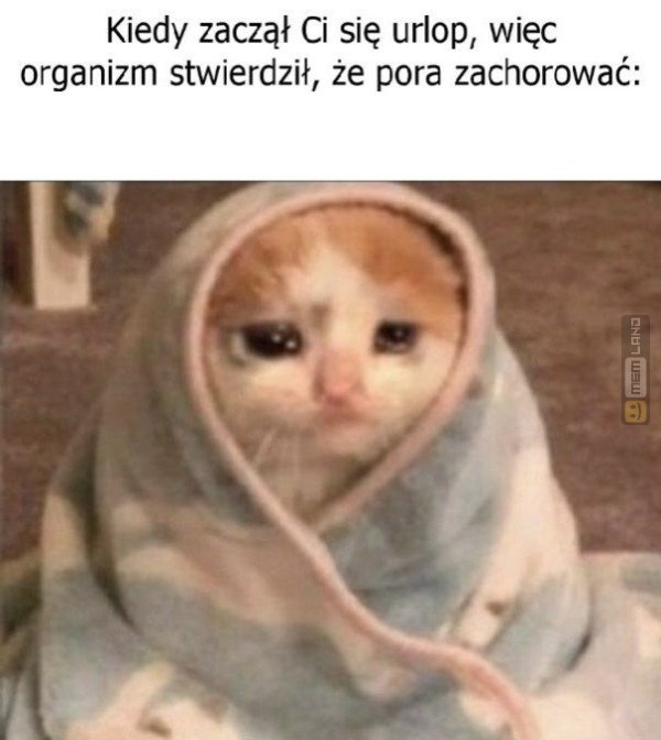 Śmieszny mem: 1222321 - MemLand