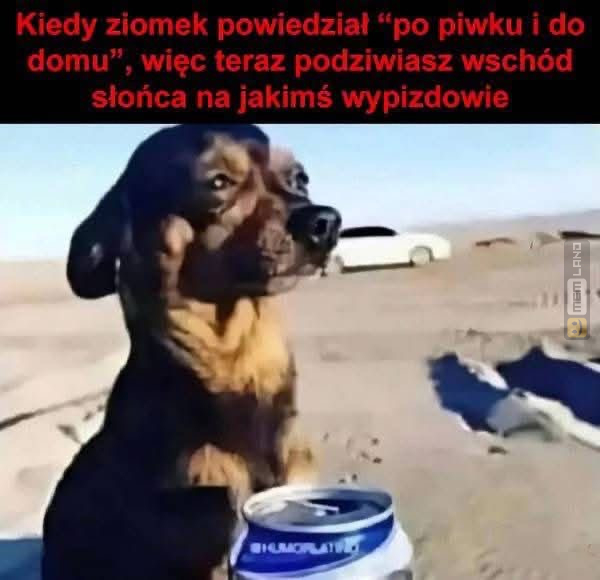 Śmieszny mem: 1223450 - MemLand