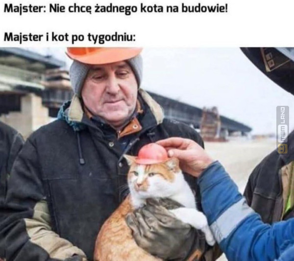 Śmieszny mem: 1226823 - MemLand