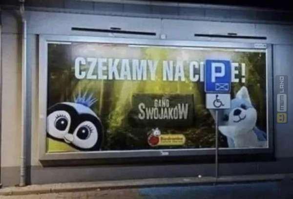 Śmieszny mem: 1229967 - MemLand