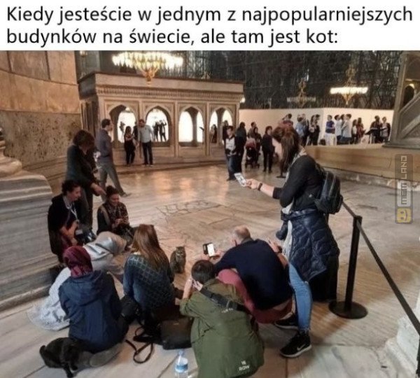 Śmieszny mem: 1239031 - MemLand
