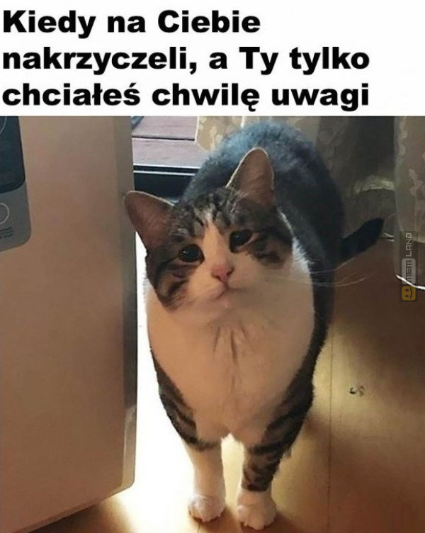 Śmieszny mem: 1251487 - MemLand