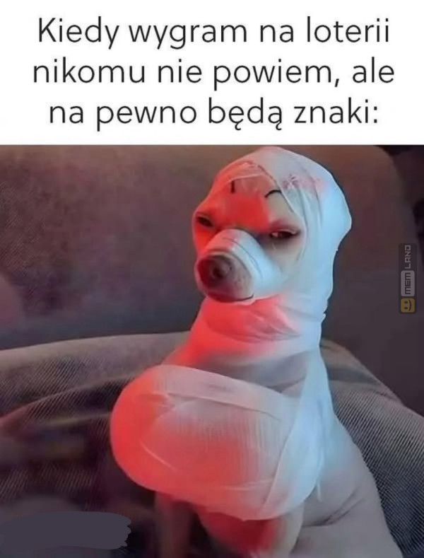 Śmieszny mem: 1252103 - MemLand