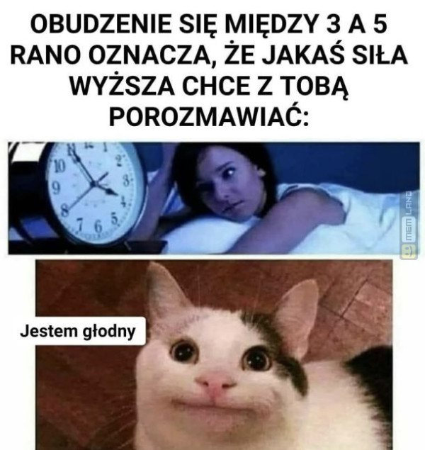 Śmieszny mem: 1255964 - MemLand