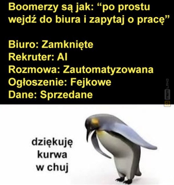 Śmieszny mem: 1266294 - MemLand