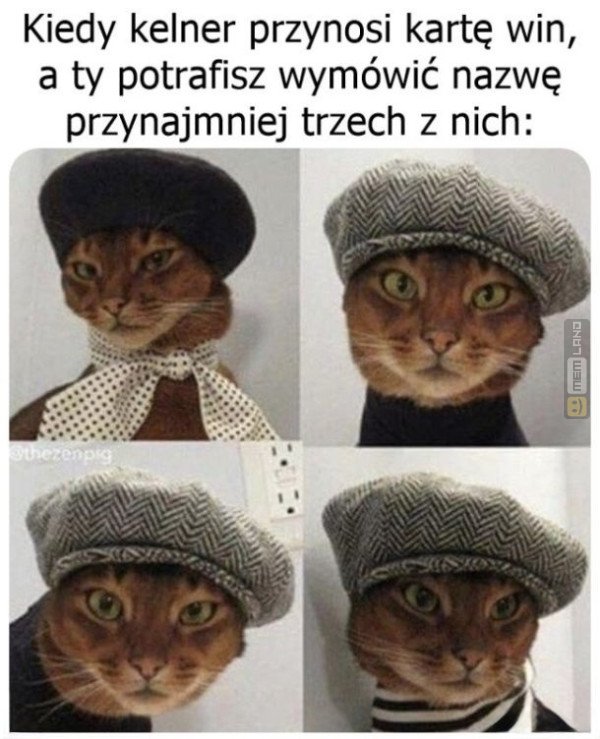 Śmieszny mem: 1274483 - MemLand