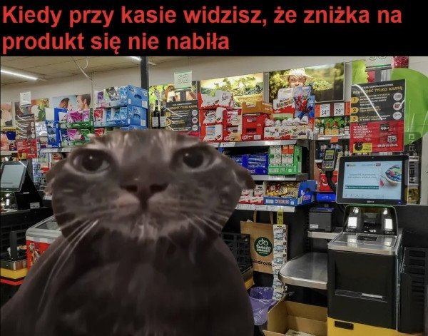 Śmieszny mem: 1275574 - MemLand