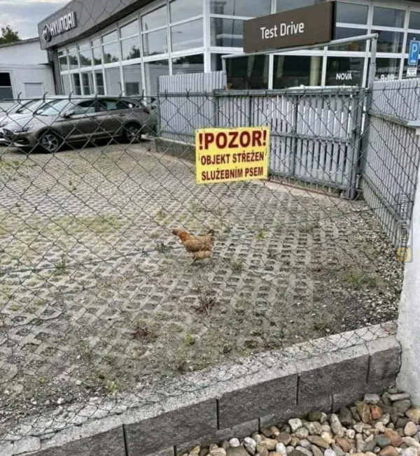 Śmieszny mem: 1288732 - MemLand