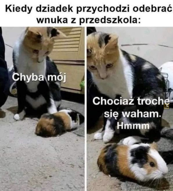 Śmieszny mem: 1293808 - MemLand