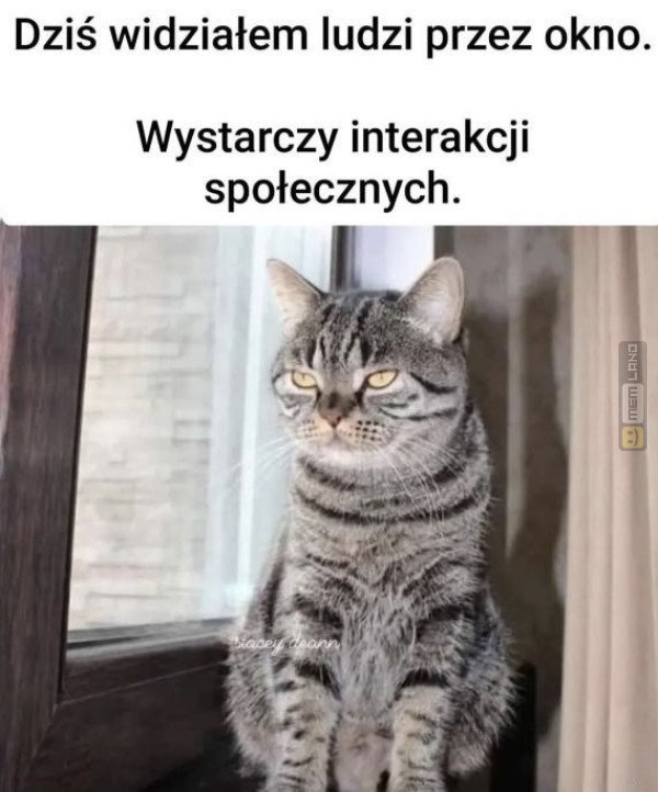 Śmieszny mem: 1295185 - MemLand