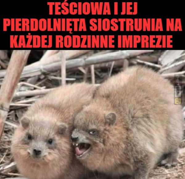 Śmieszny mem: 1295761 - MemLand