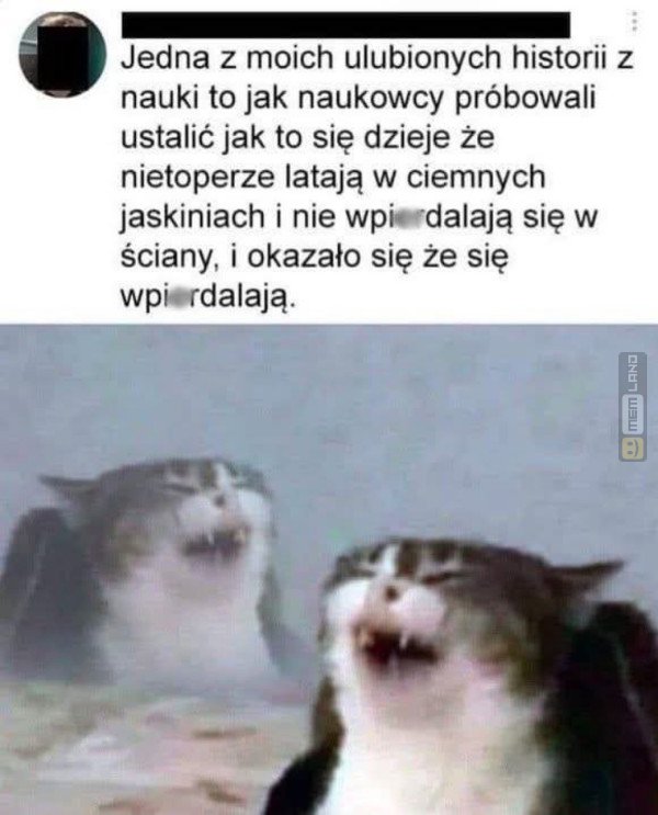 Śmieszny mem: 1306959 - MemLand