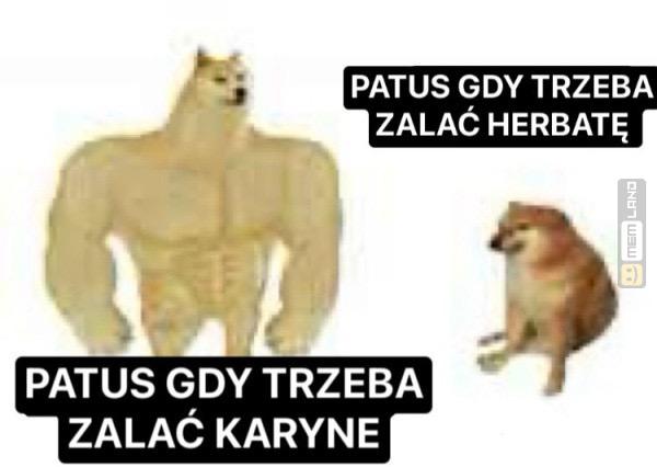 Śmieszny mem: 1319758 - MemLand