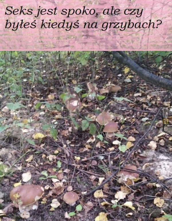 Śmieszny mem: 1322489 - MemLand