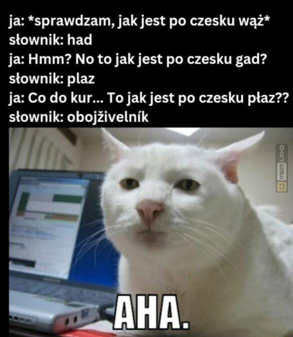 Śmieszny mem: 1327521 - MemLand