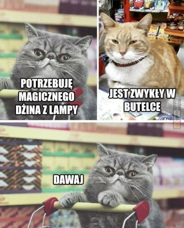 Śmieszny mem: 1333843 - MemLand