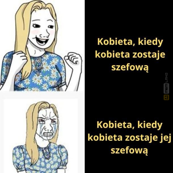 Śmieszny mem: 1334717 - MemLand