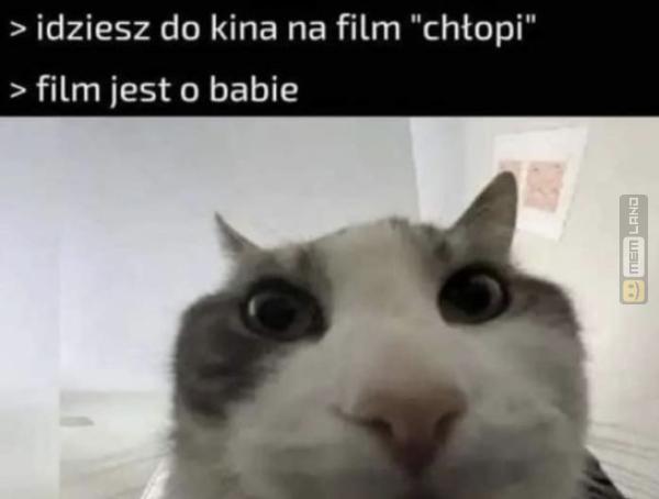 Śmieszny mem: 1339177 - MemLand