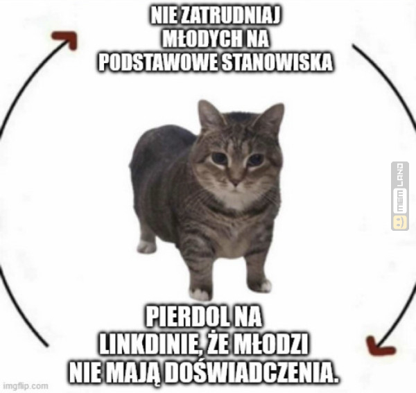 Śmieszny mem: 1340274 - MemLand