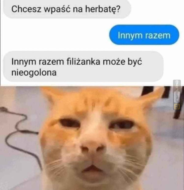 Śmieszny mem: 1362780 - MemLand