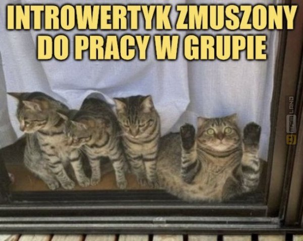Śmieszny mem: 1363738 - MemLand