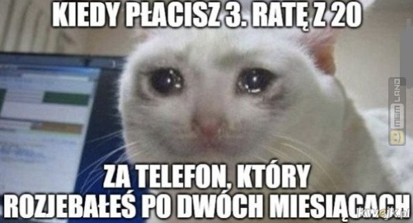 Śmieszny mem: 1365699 - MemLand