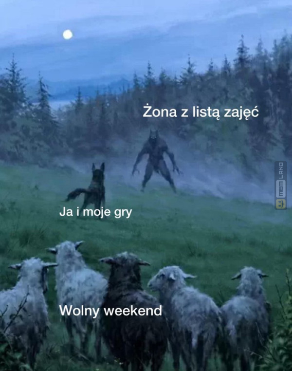 Śmieszny mem: 1372772 - MemLand