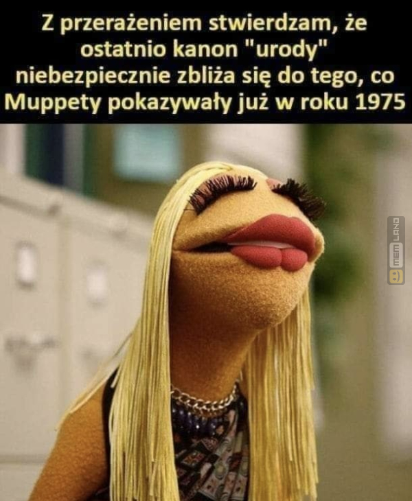 Śmieszny mem: 1374508 - MemLand