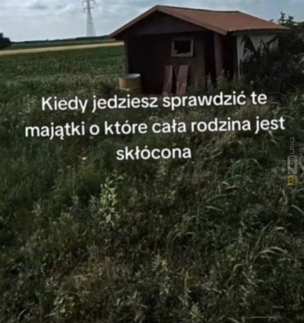 Śmieszny mem: 1386845 - MemLand