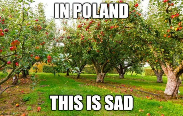 Śmieszny mem: 1388915 - MemLand