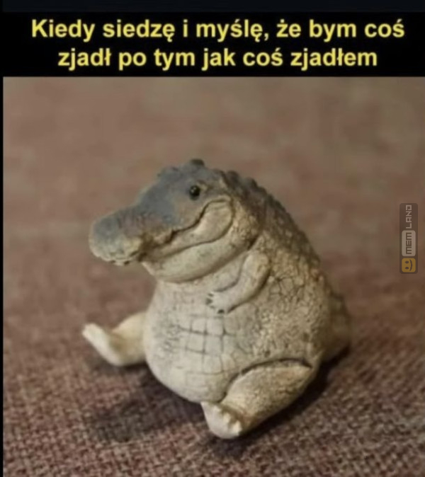 Śmieszny mem: 1394995 - MemLand