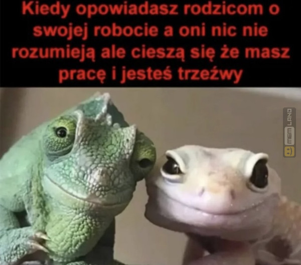 Śmieszny mem: 1414594 - MemLand