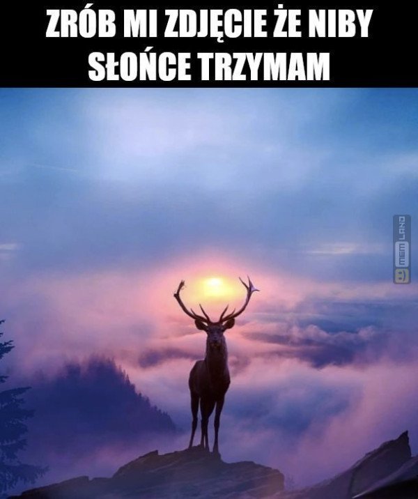 Śmieszny mem: 1419927 - MemLand