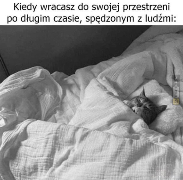 Śmieszny mem: 1420535 - MemLand