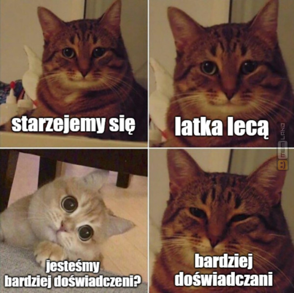 Śmieszny mem: 1423203 - MemLand