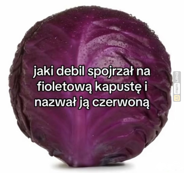 Śmieszny mem: 1430163 - MemLand