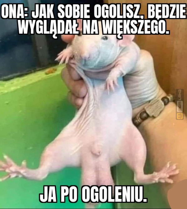 Śmieszny mem: 1431949 - MemLand