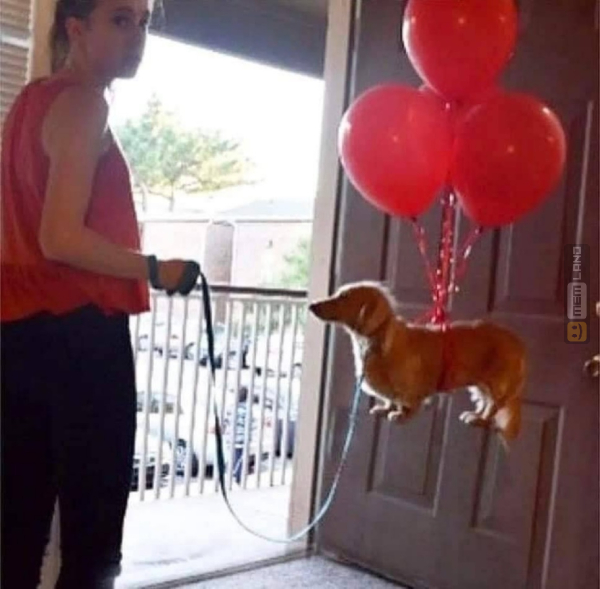 Śmieszny mem: 1435263 - MemLand