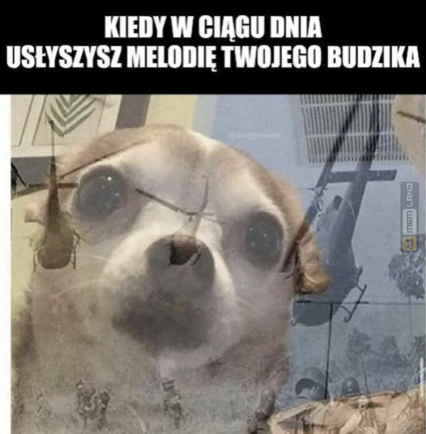 Śmieszny mem: 1470327 - MemLand