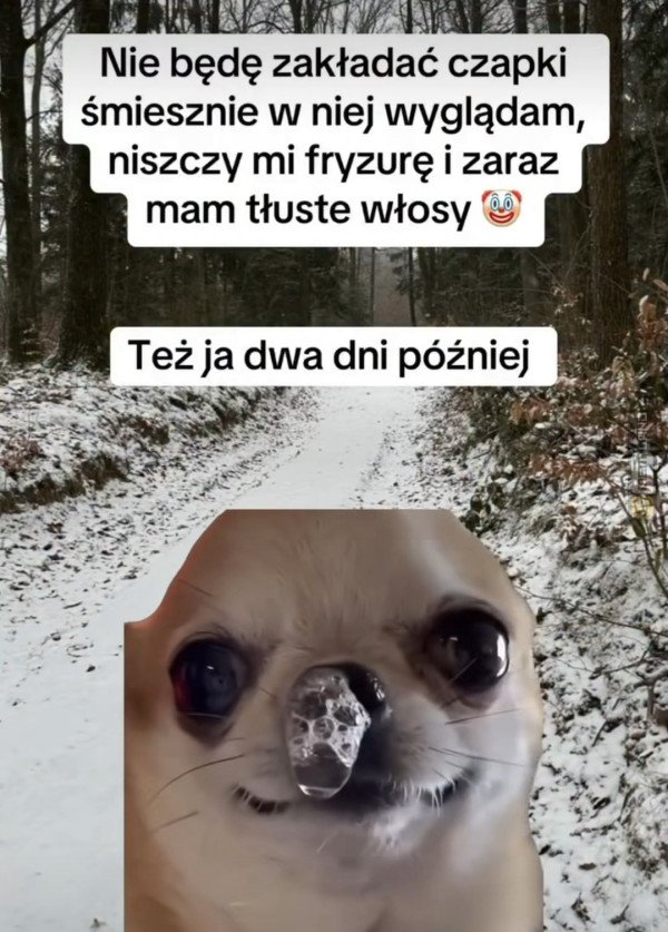 Śmieszny mem: 1474712 - MemLand